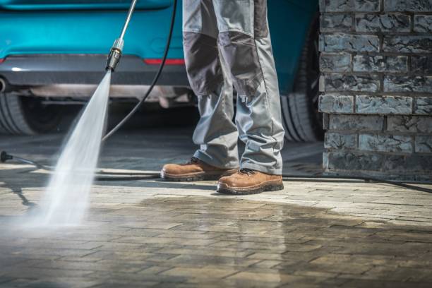 Best Fleet Vehicle Washing  in Dover, FL