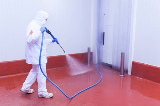 Best Warehouse Cleaning  in Dover, FL