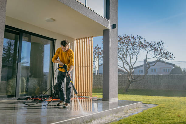 Best Pre-Holiday Cleaning  in Dover, FL