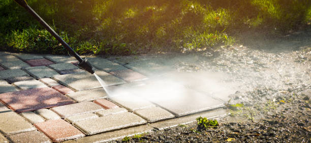 Solar Panel Cleaning in Dover, FL