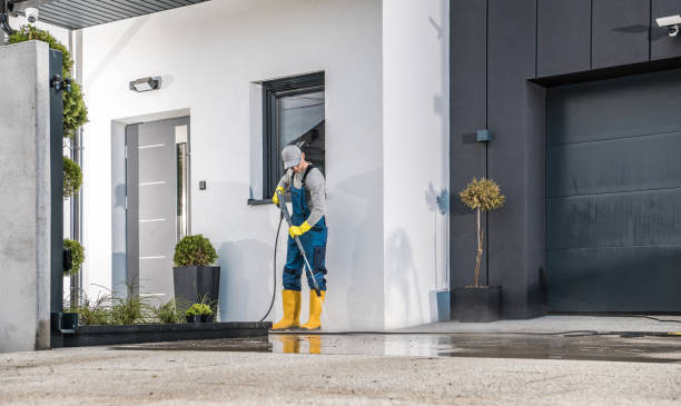 Best House Exterior Washing  in Dover, FL